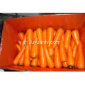 Φρέσκα λαχανικά καρότο προς πώληση